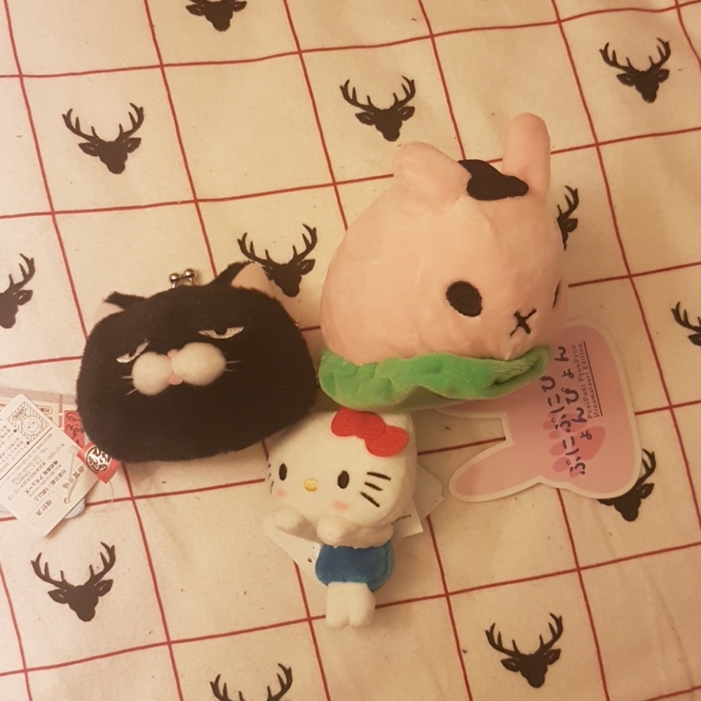 Amuse cat coin purse +bunny doll + hellokitty